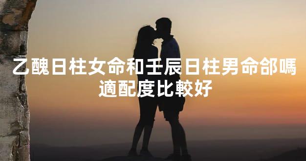 乙醜日柱女命和壬辰日柱男命郃嗎 適配度比較好